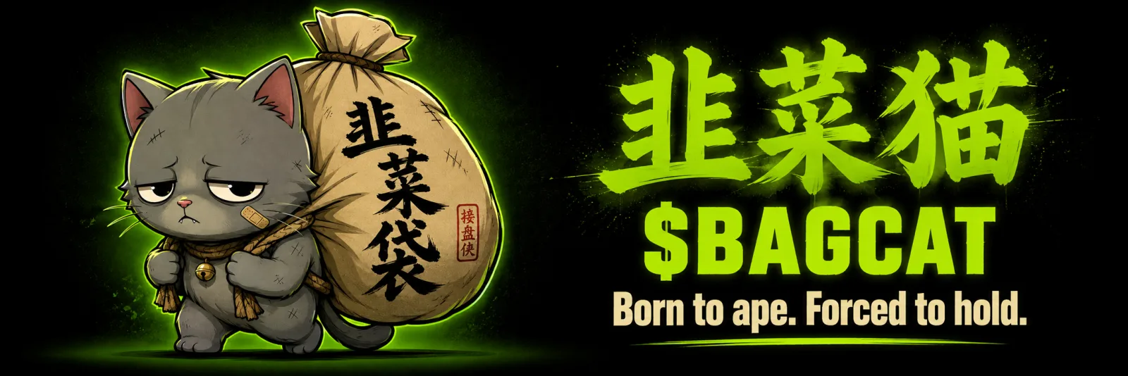 Bag Cat banner